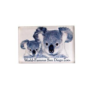 Vintage Acrylic Magnet World Famous San Diego Zoo California Koala Souvenir